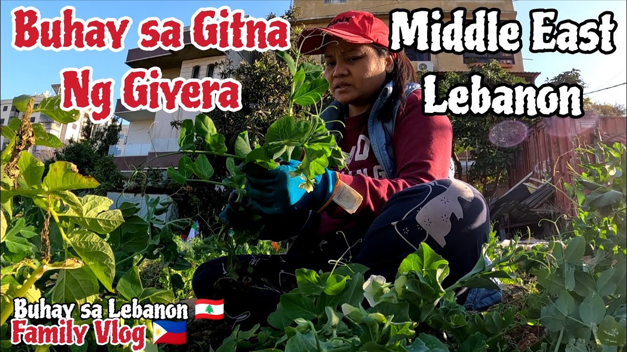BUHAY SA GITNA NG GIYERA SA MIDDLE EAST LEBANON NAPAG PASYAHAN BALIK ESKWELAHAN ANG MGA ESTUDYANTE