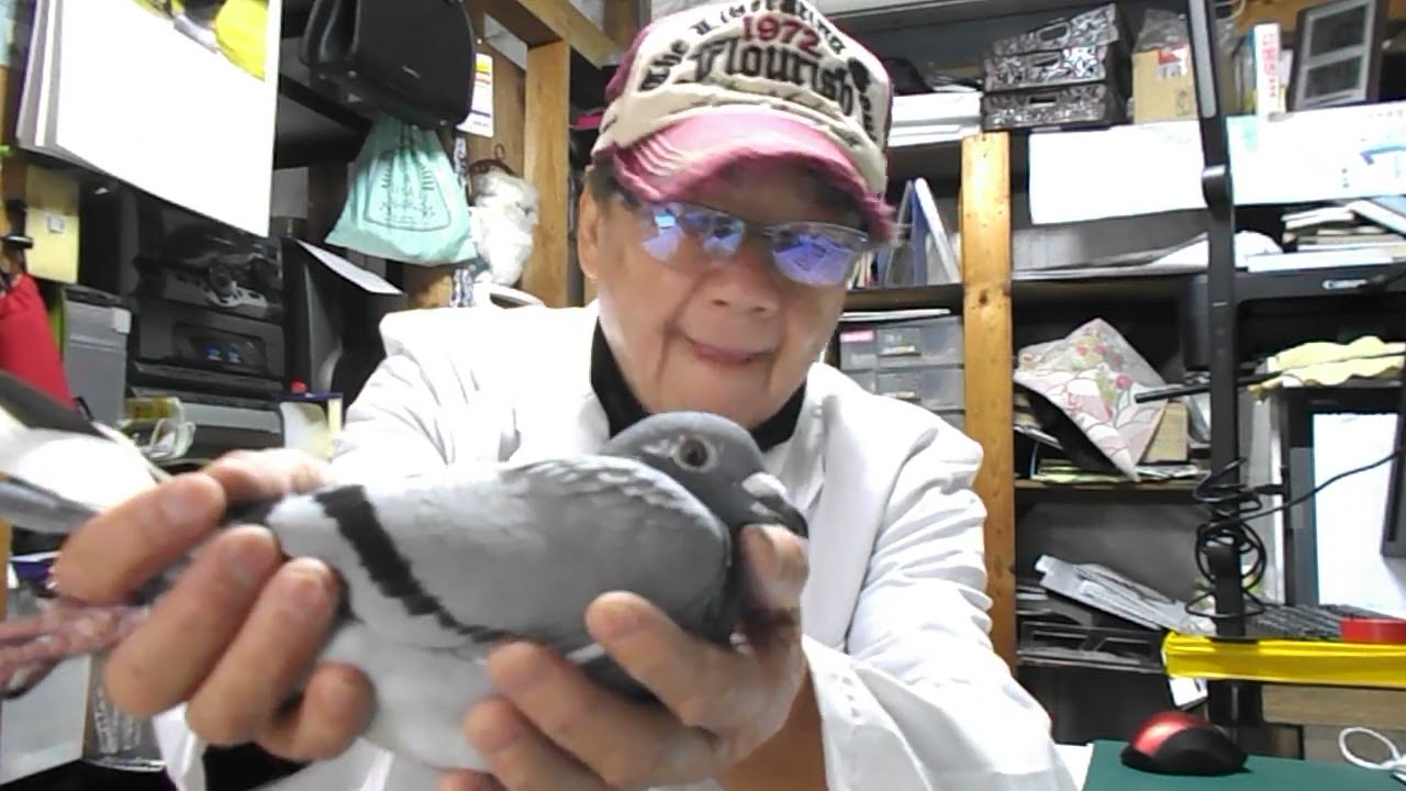 2023-11-10　チャンネル登録３３００記念