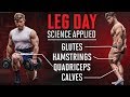 The Most Effective Science-Based Leg Day 2019 (New Upper/Lower Split)