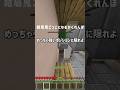 結局鬼ごっこになるブロックかくれんぼwww #minecraft #マインクラフト #ゲーム実況 #ゲーム #マイクラ