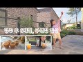 입주 후 6개월, 쿠션집 일상ㅣ복숭아스무디 ㅣ허브키우기ㅣ화단가꾸기