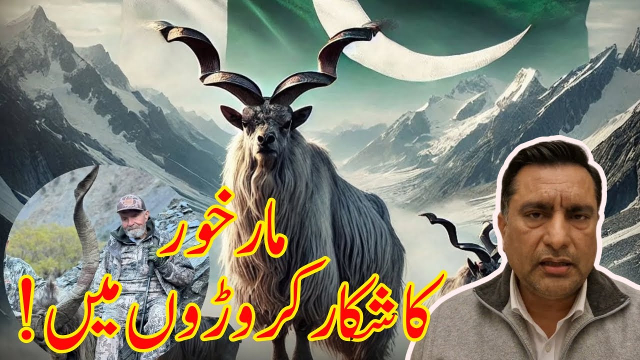 American Hunter Ronald Whitehead Pays $271,000 to Hunt Markhor in Pakistan’s Chitral