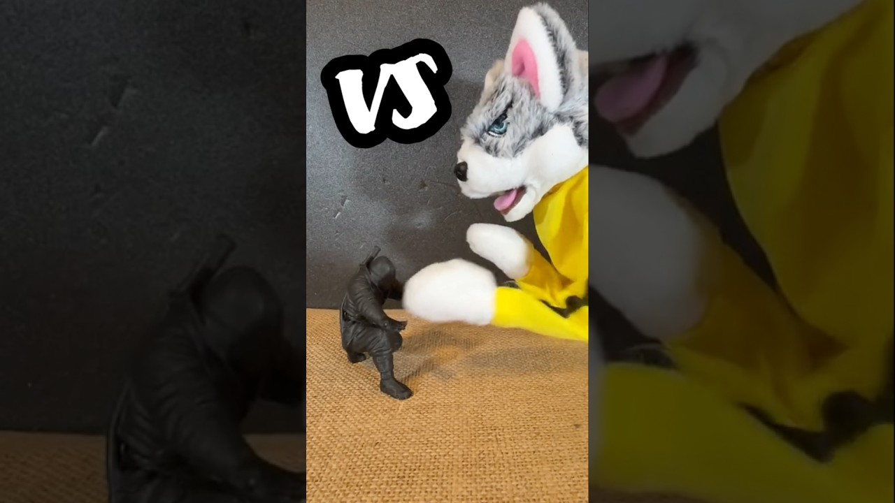 【異種格闘技戦】ボールペン忍者とワタァー犬を戦わせてみた！