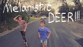 MELANISTIC DEER with Aaron Smith and Kids of Gainesville, TX in San Marcos