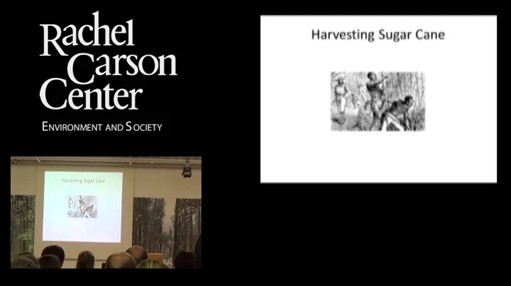 Lunchtime Colloquium: Timothy Breen