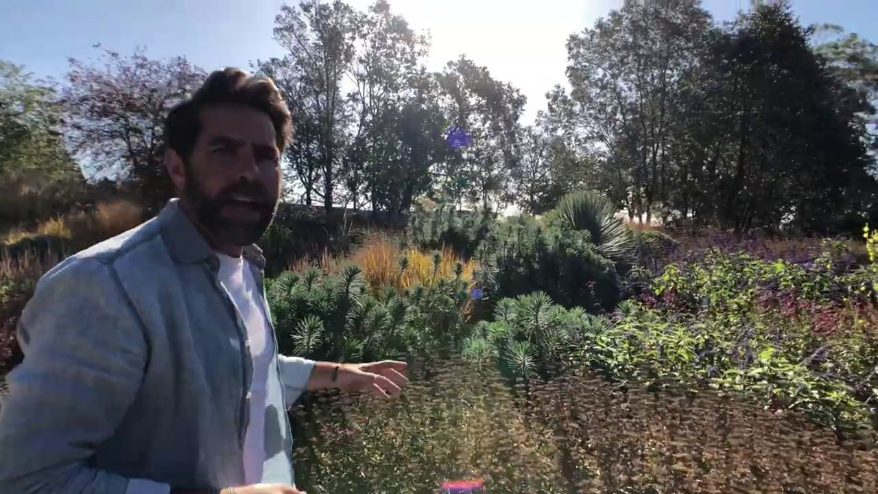 The perennial garden at Stonehill