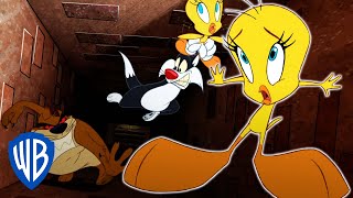 Looney Tunes | I Did Taw a Tazmanian Devil! | WB Kids