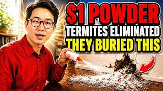 They Hid This $1 Powder That KILLS Termites Inside Walls Permanently — Zero Drilling
