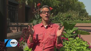 Tim's Inspirational Moments: How does faith grow?