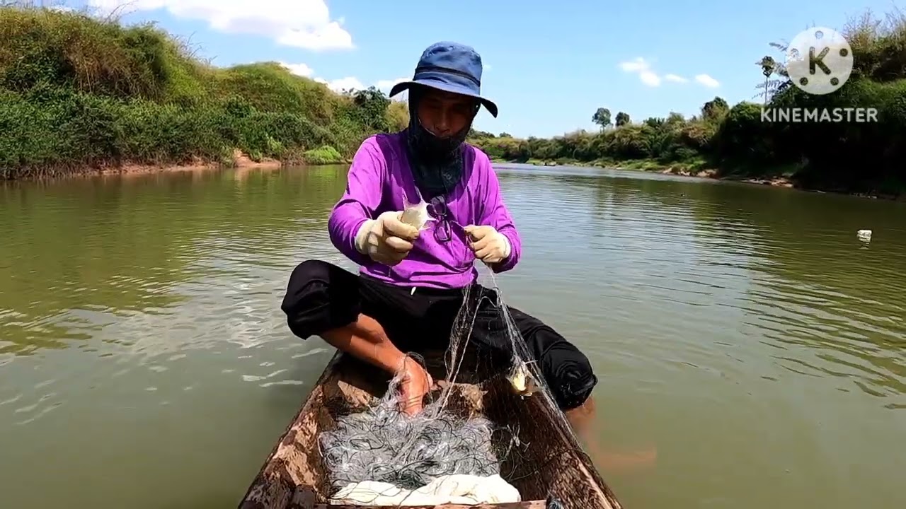 มาไล่มองหาปลา คือเก่าครับ