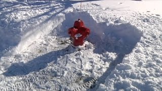 Adopt a Fire Hydrant in Crystal