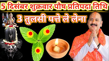 5 दिसंबर शुक्रवार पौष प्रतिपदा तिथि को 3 तुलसी के पत्ते वाला उपाय जरुर करें || pandit pradeep mishra