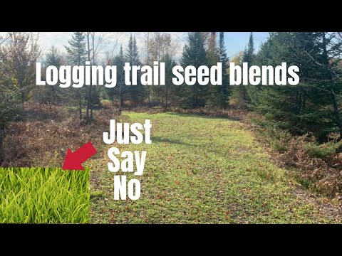 Are logging road