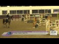 Bury Farm Senior Premier | Sunday | Winter Premier Grand Prix