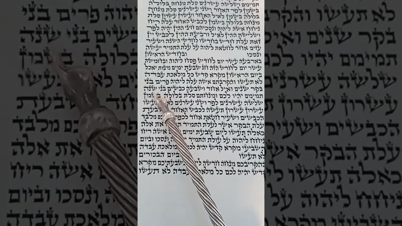 קריאת התורה מפטיר חג הפסח אפרים החזן - Kriat Hatorah Maftir Passover Holiday Efraim Hachazan