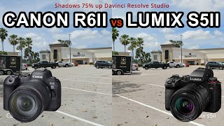 Canon R6 II vs Lumix S5 II | Side-by-Side Video Comparison