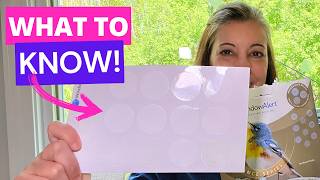 Everything You NEED to Know BEFORE You Buy these Decals!