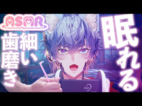 【ASMR】細い歯ブラシで耳かき👂🪥ゾリゾリ・コリコリ・シャカシャカ高刺激トリガー【無言 / 高音質】
