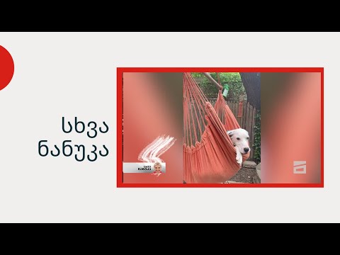 სხვა ნანუკა - დალმატინელი ქობულეთიდან ამერიკაში