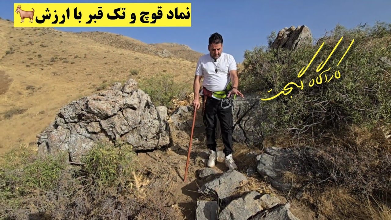 🐐نماد قوچ و تک قبر با ارزش🐐 👈آموزش تخصصی درباره تک قبرهای با ارزش👍 #کارآگاه_گجت #پسر_کوهستان 