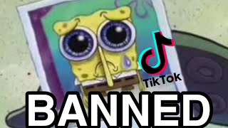 So TikTok is about to get Banned…..