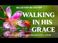 WALKING IN HIS GRACE | Deep Soaking Worship &amp; Scriptures with Birds Sounds 🌿