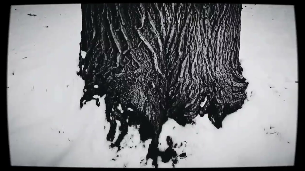 Watch VAZUM - Gallows (Lost Forest Mix) on YouTube Watch VAZUM - Gallows (Lost Forest Mix) on YouTube