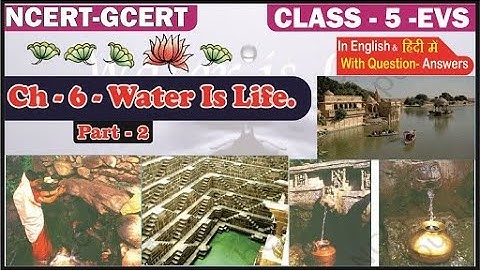 Water is Life(Part 2) II NCERT CLASS 5 EVS Chapter 6 II Every Drop Counts II  @Pratibha Jadhav ​
