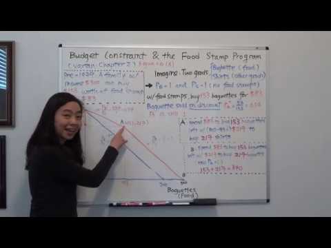 Budget Constraint and