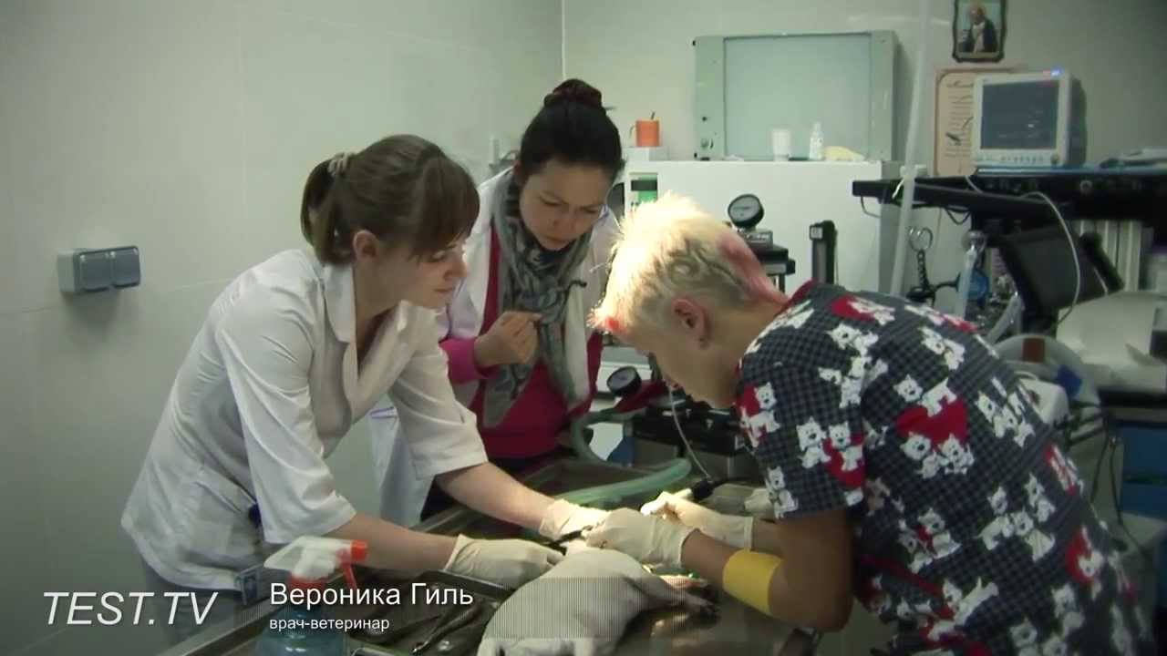 До щенячьей белизны. Чистим зубы ультразвуком. - YouTube