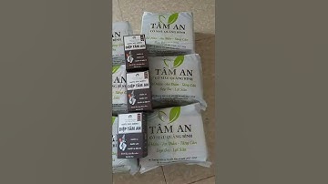 CỎ MÁU TÂM AN QUẢNG BÌNH