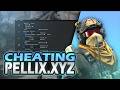 1$ CS2 CHEAT GAMEPLAY ft. pellix.xyz
