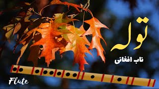 The Best Relaxing & Flute Music( موسیقی بی کلام  ) بهترین توله نوازی عاشقانه