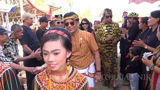 Download Lagu Para Raja dari berbagai Keraton se-Nusantara turut dalam Upacara Adat Toraja MP3