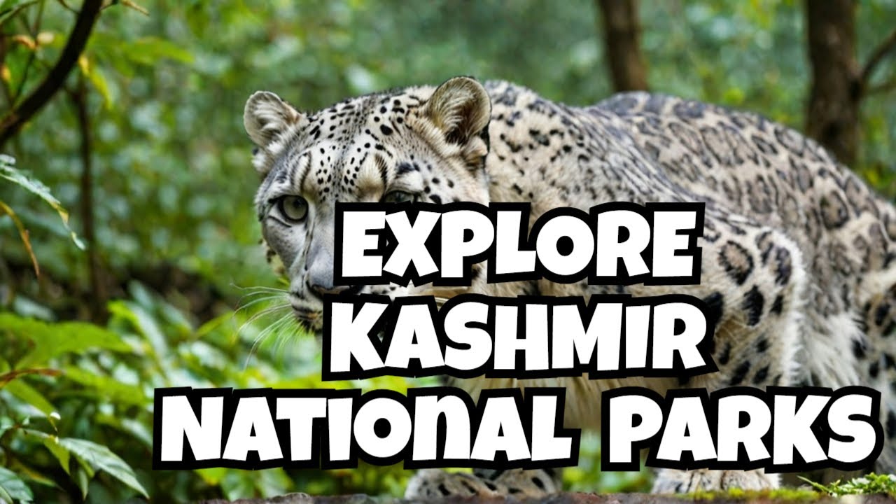 National Parks of Jammu & Kashmir | Discover India's Breathtaking National Parks