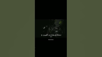 ﴿ وَذَا النُّونِ إِذ ذَّهَبَ مُغَاضِبًا﴾ ❤️‍🩹  القارئ | أشرف إمام l سورة | الأنبياء #QuranicVerses