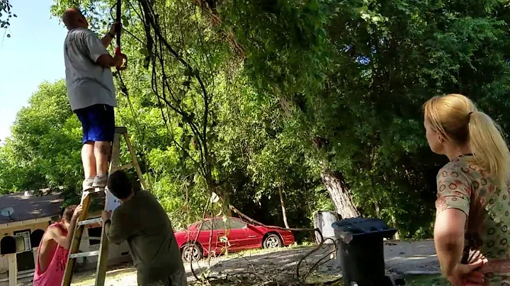 Vine Removal Part 2  7-6-16