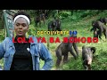 DECOUVERTE 243 A LOLA YA BA BONOBOS  #BONOBOS PRIMATE PARK / ORPHELINS BONOBOS .RDC /TOURISME/BONOBO