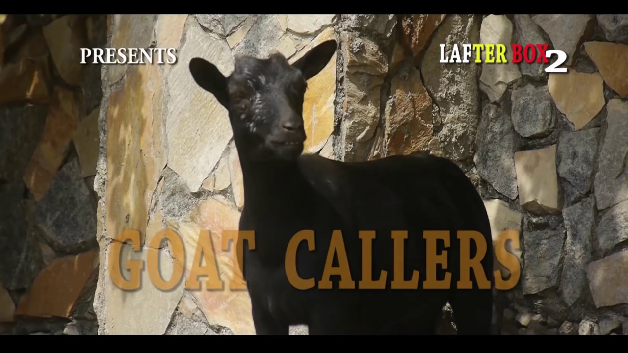 LAFTER BOX 2 (GOAT CALLER) SAINTO J - YouTube