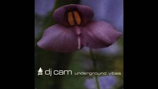 DJ CAM – UNDERGROUND VIBES (1995) | Full Album - YouTube