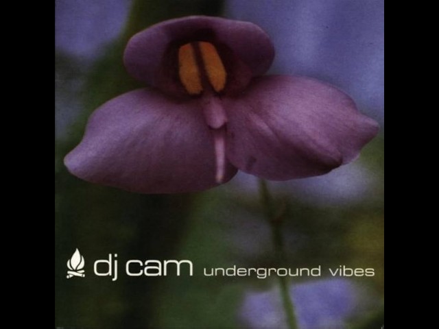 DJ CAM – UNDERGROUND VIBES (1995) | Full Album - YouTube