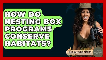 How Do Nesting Box Programs Conserve Habitats? - Bird Watching Diaries