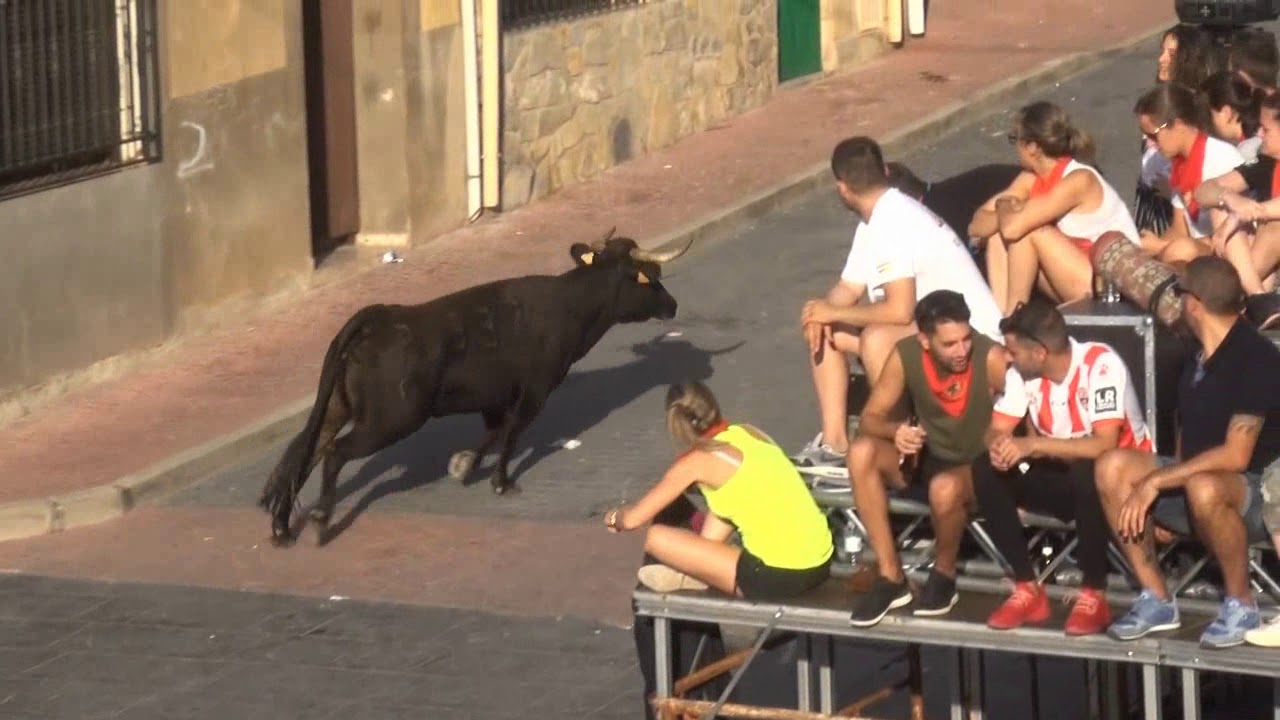 2º VACAS CALLE AGUILAR DEL RIO ALHAMA (LA RIOJA) DOMINGUEZ 15- 08-2017 .
