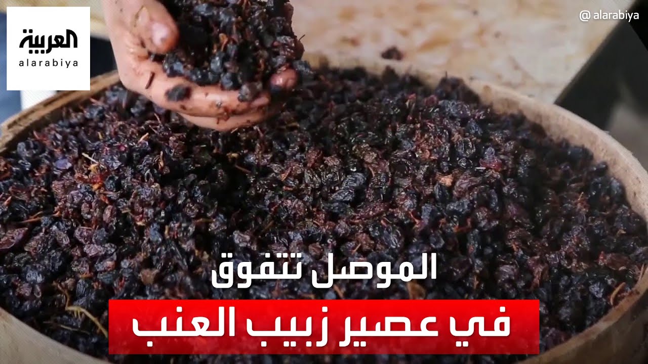كيف تفوقت مدينة الموصل في صناعة عصير زبيب العنب الأسود؟