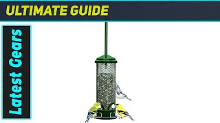 Best Squirrel-proof Feeder Squirrel Buster Mini Test!
