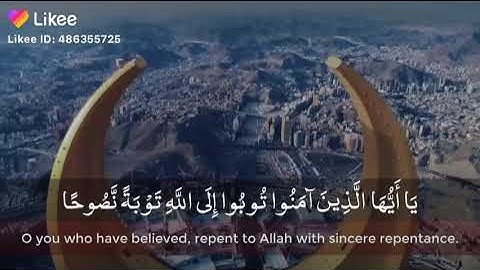 القارئ ماهر المعيقلي/يا أيها الذين آمنوا توبوا إلى الله توبة نصوحا/حالات واتس أب دينية ❤️