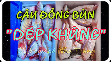 Câu Đổng Bùn Nha Trang -P2/ Câu cá biển/ CLB câu cá Nha Trang