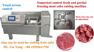Numerical control meat cube cut machine 20220117