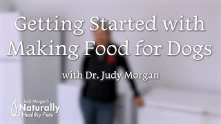 Getting Started with Making Food for Dogs