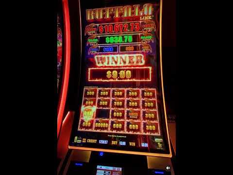 Juega al casino en línea en WildRobin Casino: ¡Experiencia de juego emocionante en España!